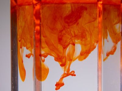 Woman transitioning smoothly between two yoga poses in a fluid motion.